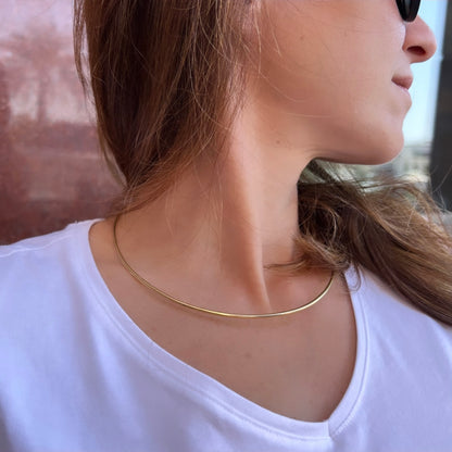 The Hoop Necklace