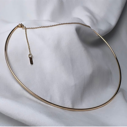The Hoop Necklace