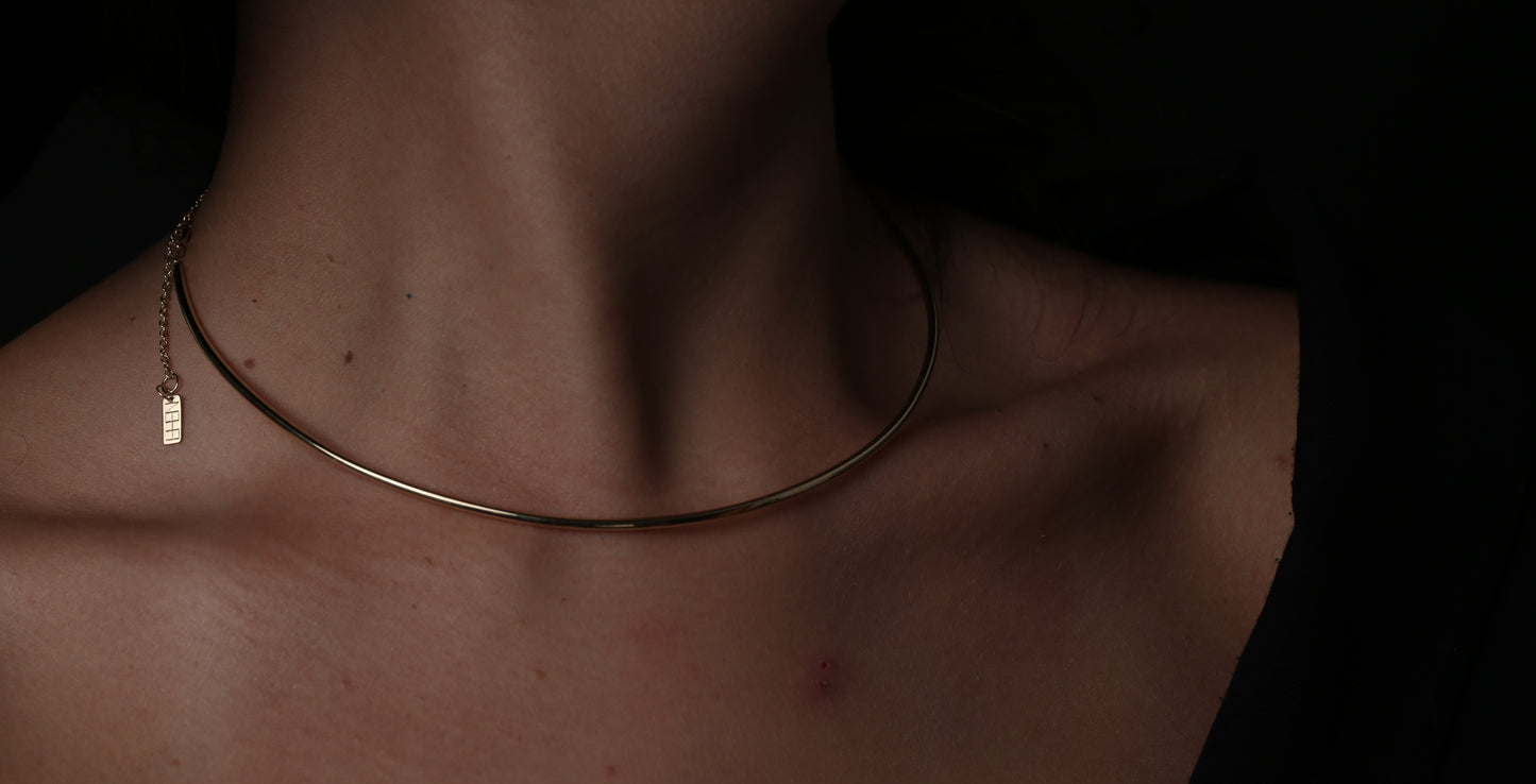 The Hoop Necklace
