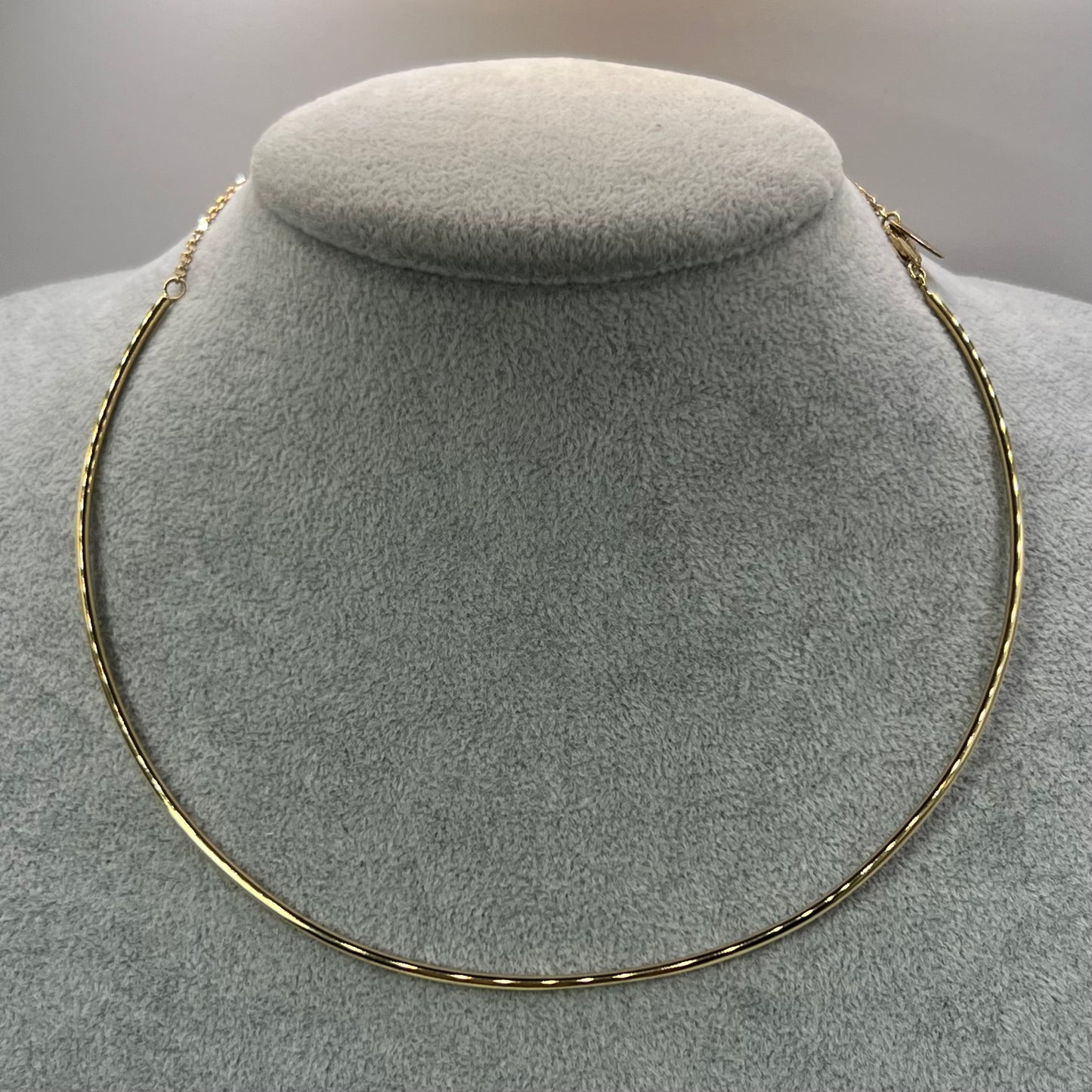 The Hoop Necklace