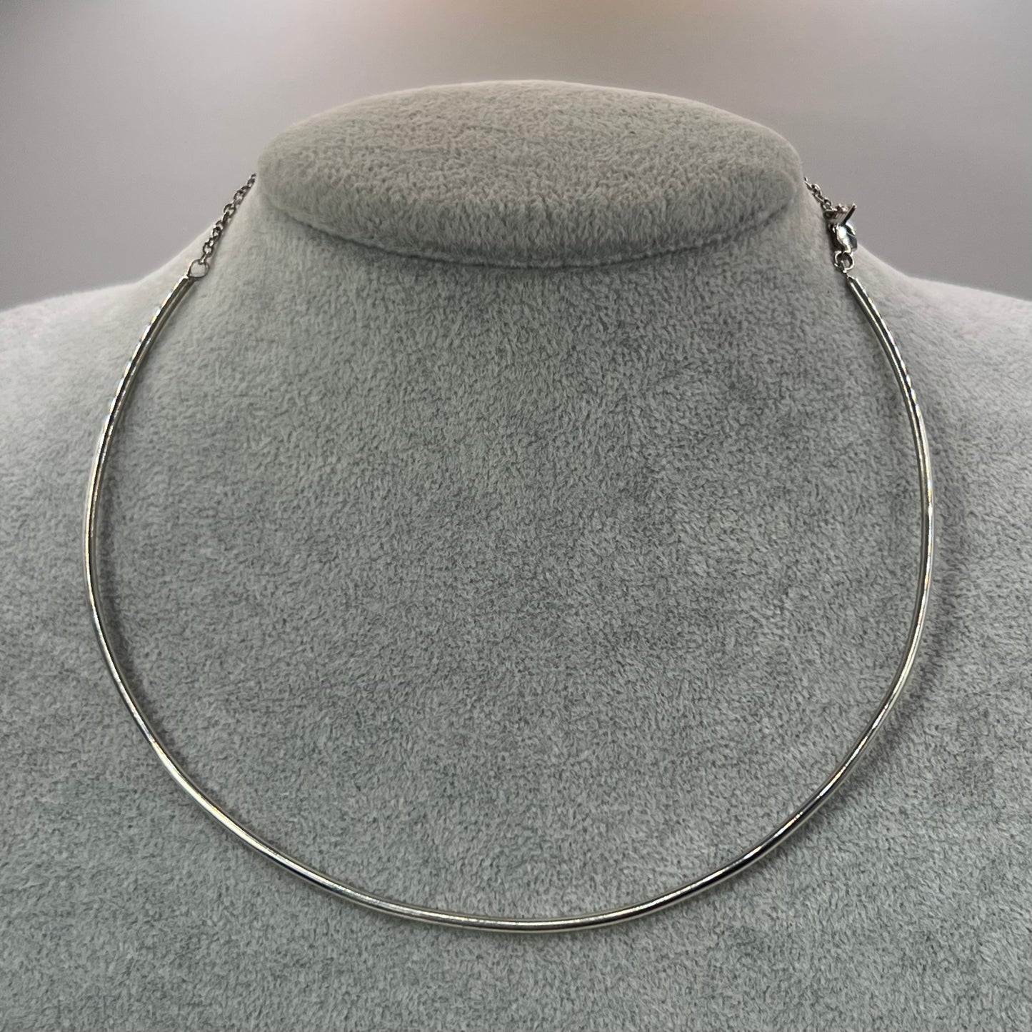 The Hoop Necklace