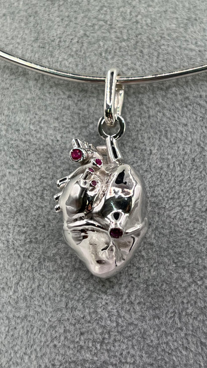 The Heart (Anima)